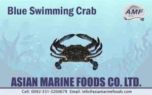 Blue Swimming Crab Exporter Pakistan