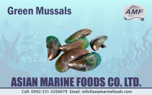 Green Mussels Exporter Pakistan
