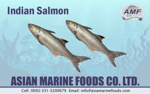 Indian Salmon Exporter Pakistan