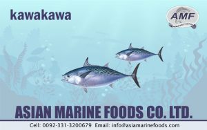 Kawakawa Exporter Pakistan