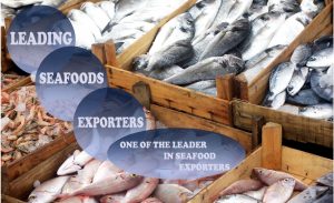 Seafood Exporter Pakistan