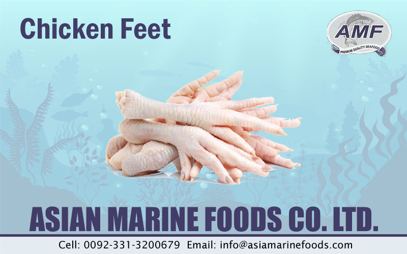 Chicken Feet Exporter Pakistan