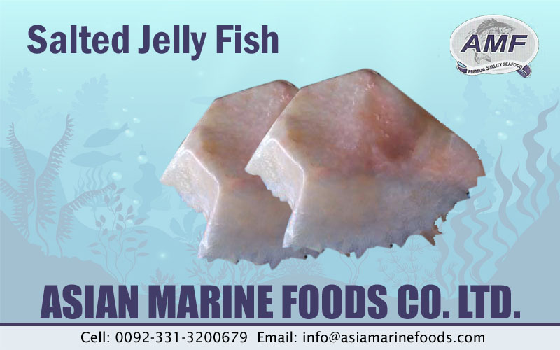 Salted Jellyfish Exporter Pakistan