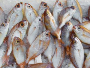 Best Seafood Packer and Exporter Karachi Pakistan