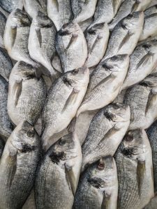Best Seafood Packer and Exporter Karachi Pakistan