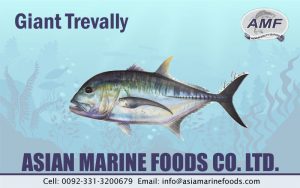 Giant Trevally Exporter Pakistan