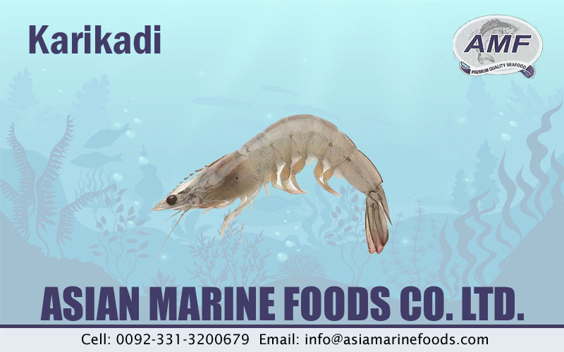 Karikadi Exporter Pakistan