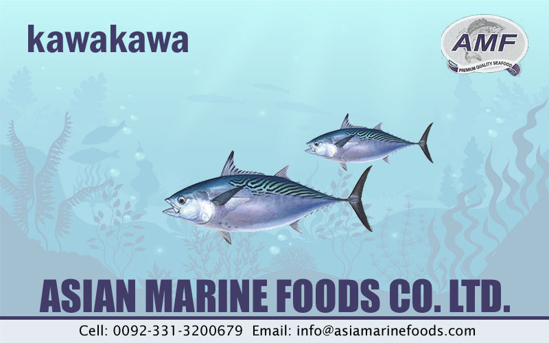 Kawakawa Exporter Pakistan